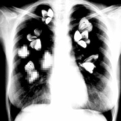 I cant escape the hole you've dug