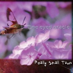 Broken Trail of Lies