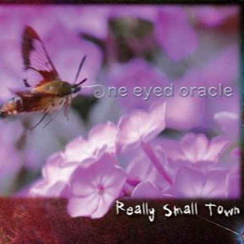 Broken Trail of Lies