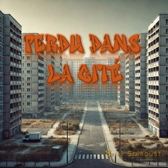 PERDU DANS LA CITE