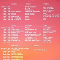 Pink Mammoth - Burning Man 2022 Monday Opening Set