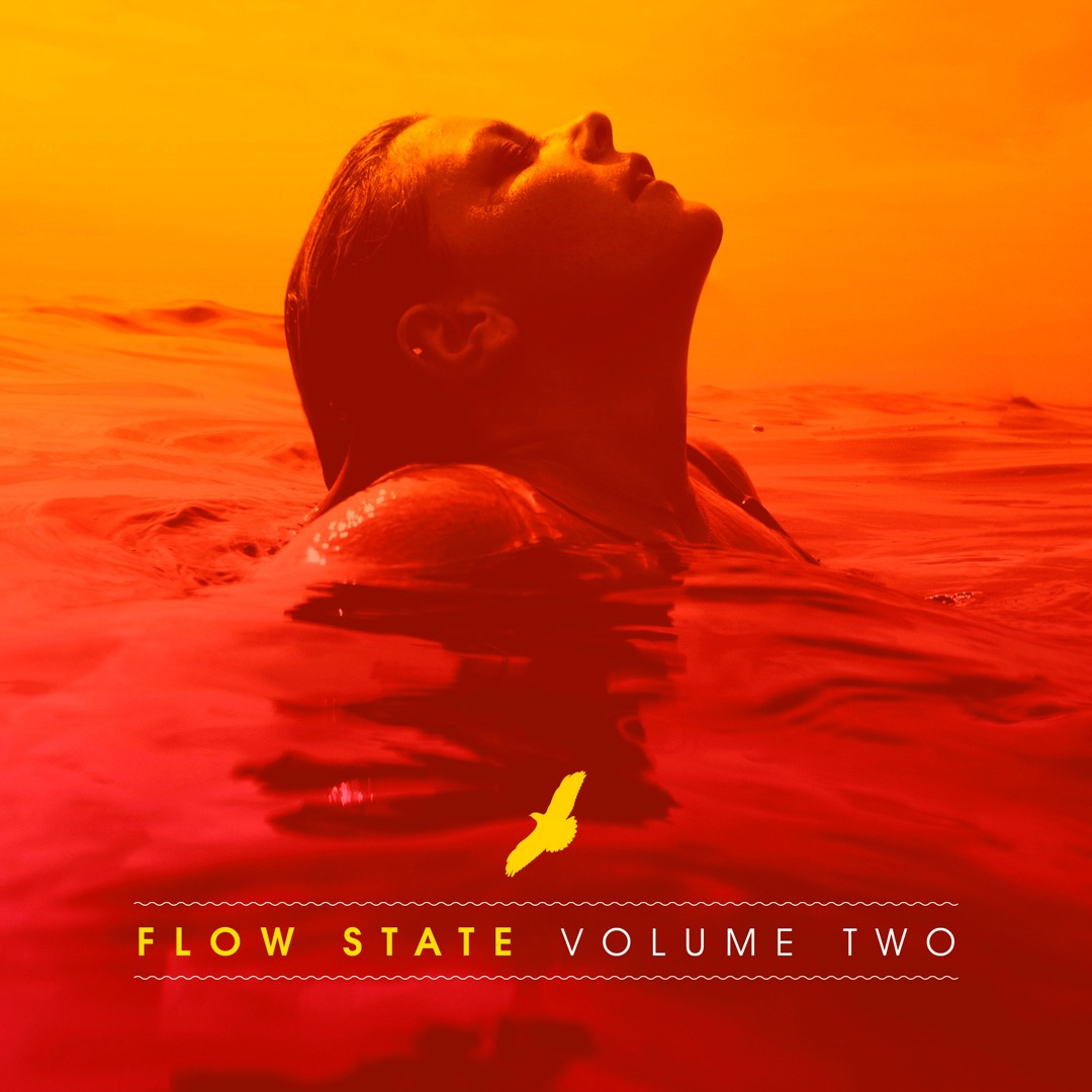 Stream Flow State Volume Two by Technimatic | Listen online for free on ...