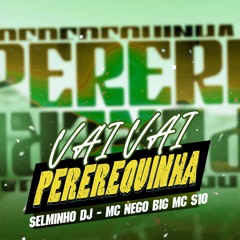 VAI VAI PEREREQUINHA ((SELMINHO DJ)) MC NEGO BIG MC S10