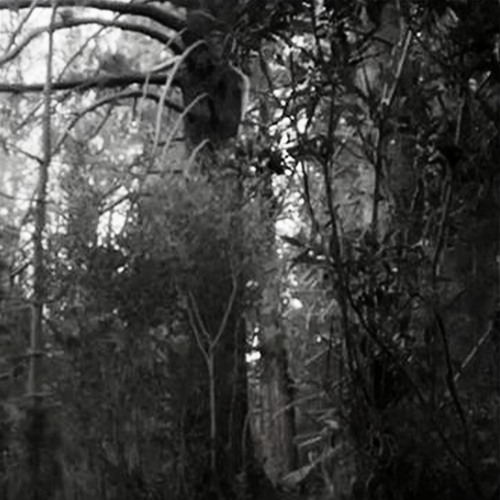 hanged (prod. xectnr + edwinblur)