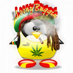 Loonybuggin ReggaeMix Vol 1