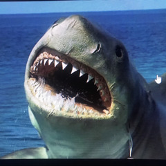 Drum and Bass, inc  - missing peices - Jaws- Psychadelic