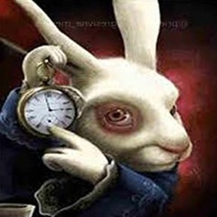 друзья какао