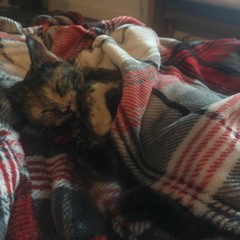 R’n’b Soûl Cruise Jingle