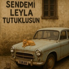 Sendemi Leyla Tutuklu RMX