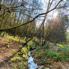 your head got misplaced (cover)