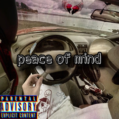 Peace Of Mind (feat.) David Rhynard
