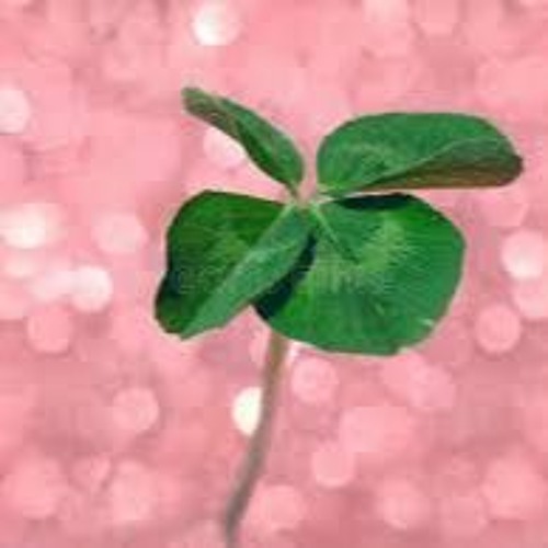 4leafclover