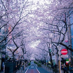 N5-だい13か(ことば).mp3