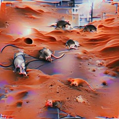 Rats On Mars