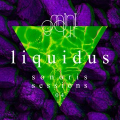 sonoris sessions 04 liquidus - minigour (live session 2020)
