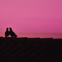 Cheap Wine On A Rooftop