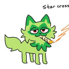 photograph of you in the hallway cover