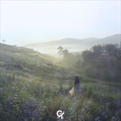 Like a Dream