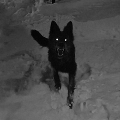 something you stole - june henry