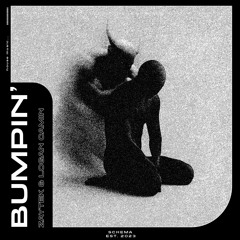 ZAYTEK, Logan Camin, Schema - Bumpin'