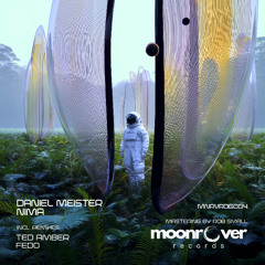 Daniel Meister - Vagabond - preview