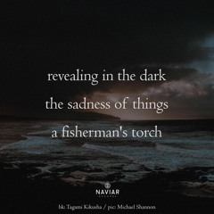 A fisherman's torch (naviarhaiku608)