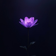 Ultraviolet Utopia