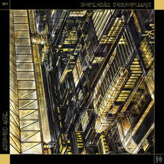Atomic Age