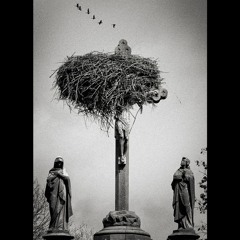 Bellemont - Prayers in Disguise