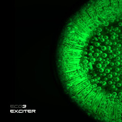 2. Eco3   The Friendshiper