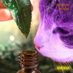 Entropic 87 - "Medicant"