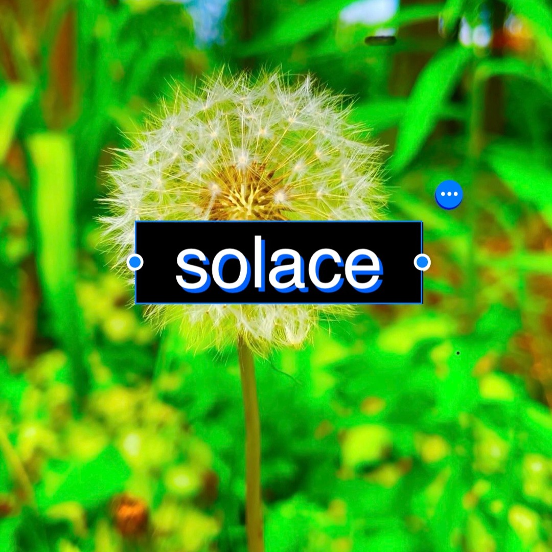 solace