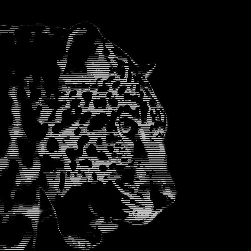 Wrath of the Jaguar
