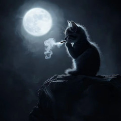 котенок сваг