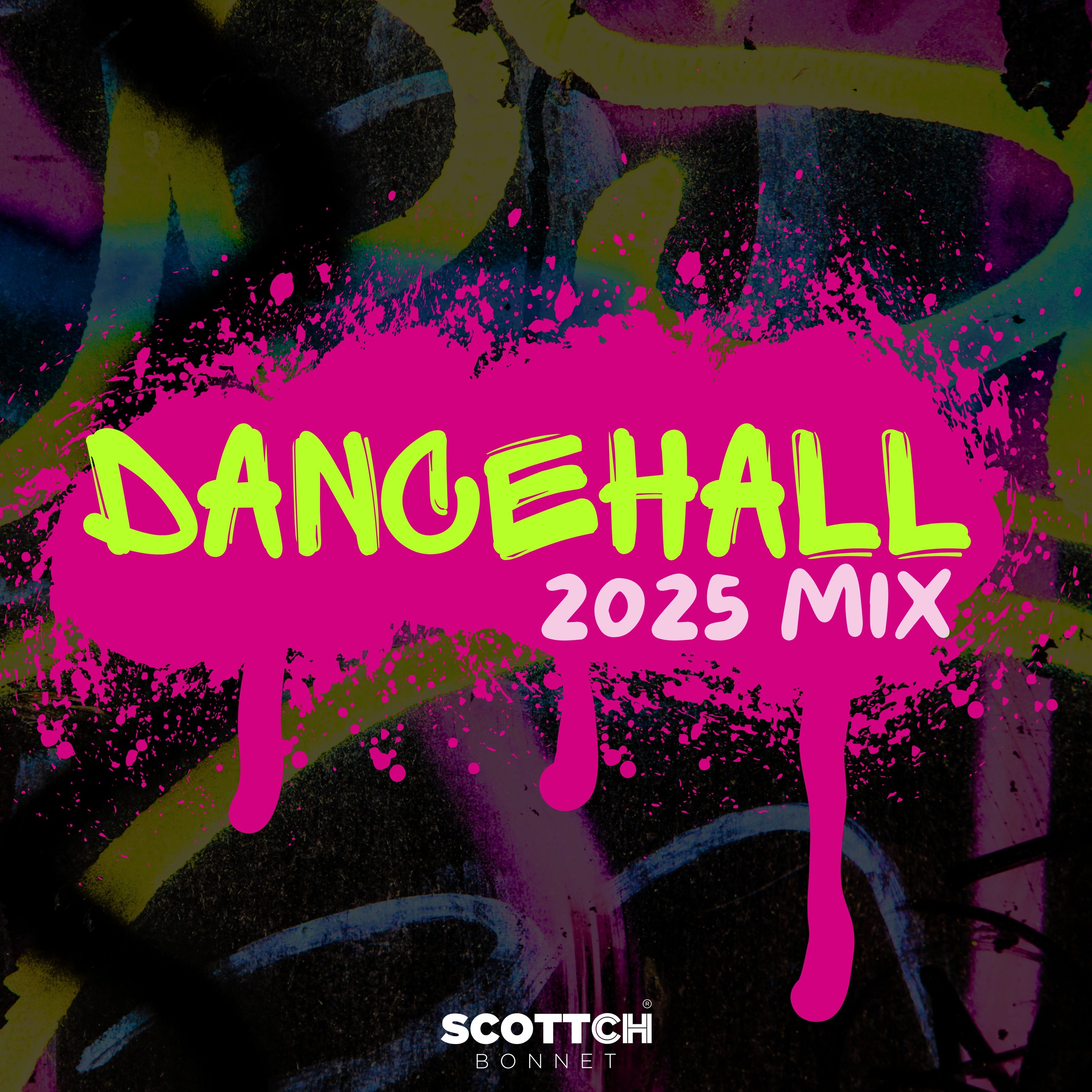 DANCEHALL 2025 MIX ft. Skillibeng, Malie Donn, Armanii, Valiant, Teejay, Rvssian (Clean)