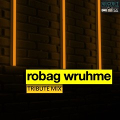 Robag Wruhme Tribute - Progressive Techno