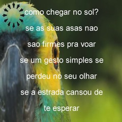 como chegar no sol? prod altosgp