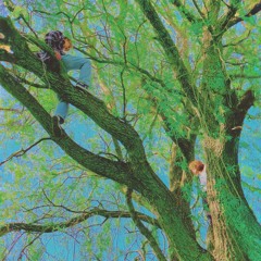 Bara Henne (Knippin Remix)