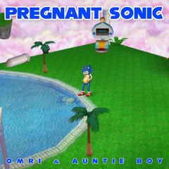 Omri and Auntie Boy - Pregnant Sonic (Extended Mix) [TikTok 2023]
