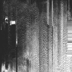 in noise we trust