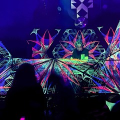 Grzybnia lvl1 - Transformator @Wroclaw - Night-Forest-Dark Psytrance DJ set - October 2025