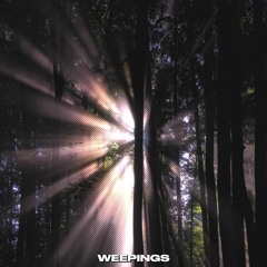 Shine-Through