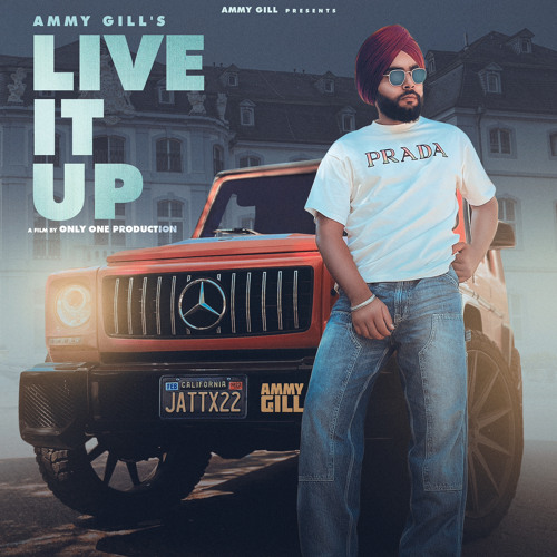 LIVE IT UP - AMMY GILL