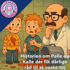 #6 Historien om Palle og Kalle der fik dårlige råd til hvordan de skulle vaske tøj