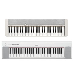 Casio CT-S1 + Yamaha NP-15 – demo song – pianos only