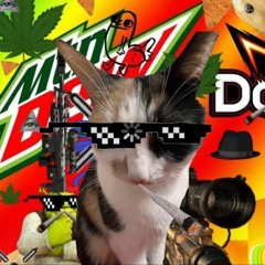 MLG YOUTUBE 2016 DUBSTEP DJ SET