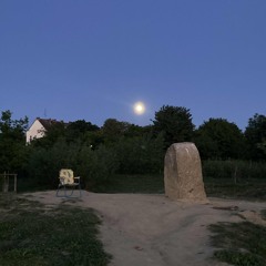 New dirt on the ground