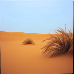 الجرح