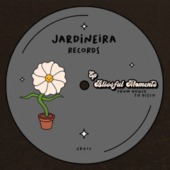 From House to Disco - Blissful Moments (Seed Selector, Giorgio Menegatti Remix)