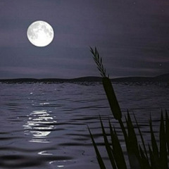 Lonely Moon